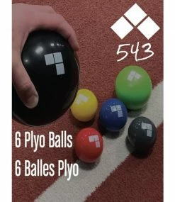 Other Plyo Balls 6PK